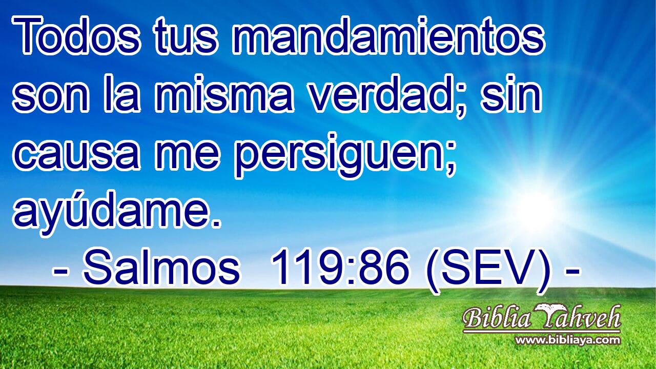 Todos tus mandamientos son la misma verdad; sin causa me persiguen; ayúdame.