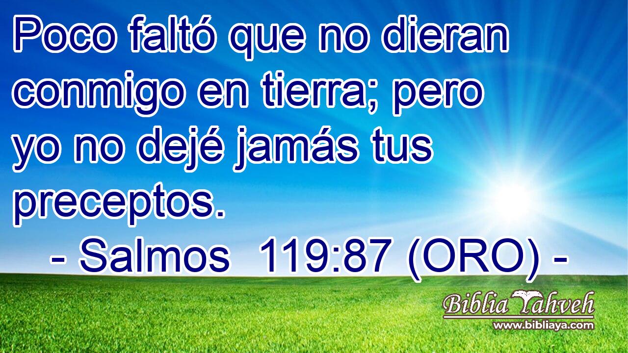  Poco faltó que no dieran conmigo en tierra; pero yo no dejé jamás tus preceptos. 