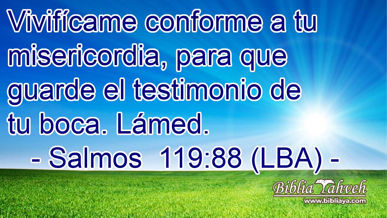 Vivifícame conforme a tu misericordia, para que guarde el testimonio de tu boca. Lámed.