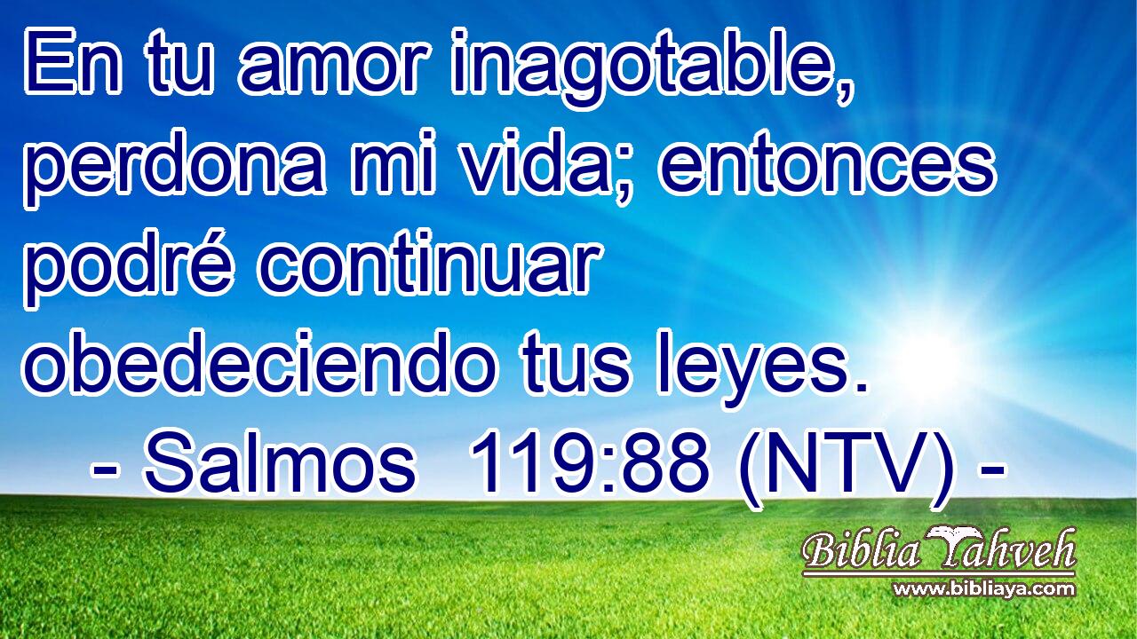 En tu amor inagotable, perdona mi vida; entonces podré continuar obedeciendo tus leyes.