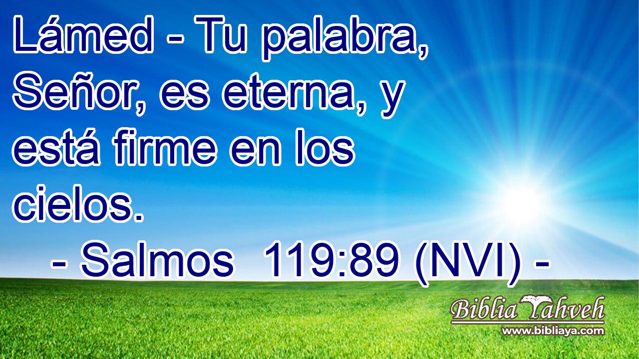  Lámed - Tu palabra, Señor, es eterna, y está firme en los cielos. 