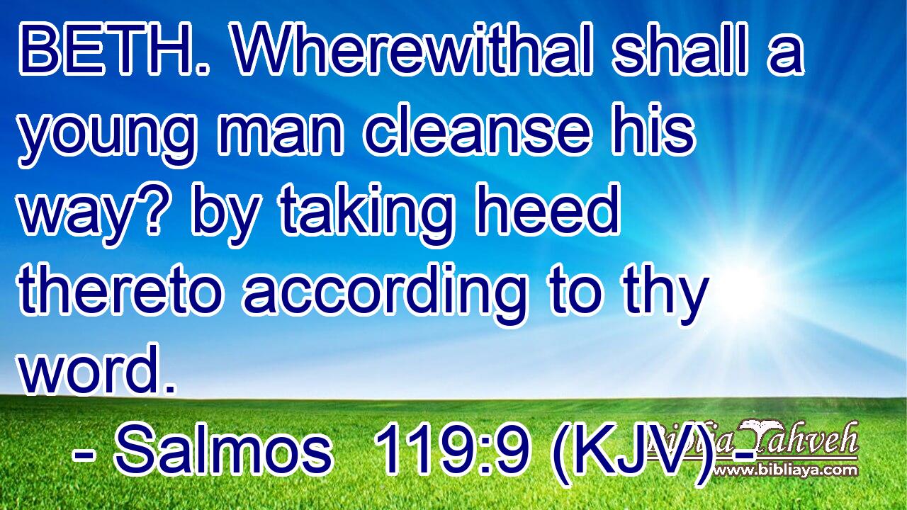 BETH. Wherewithal shall a young man cleanse his way? by taking heed thereto according to thy word.