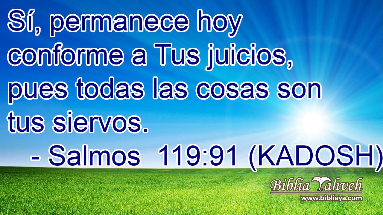  Sí, permanece hoy conforme a Tus juicios, pues todas las cosas son tus siervos. 