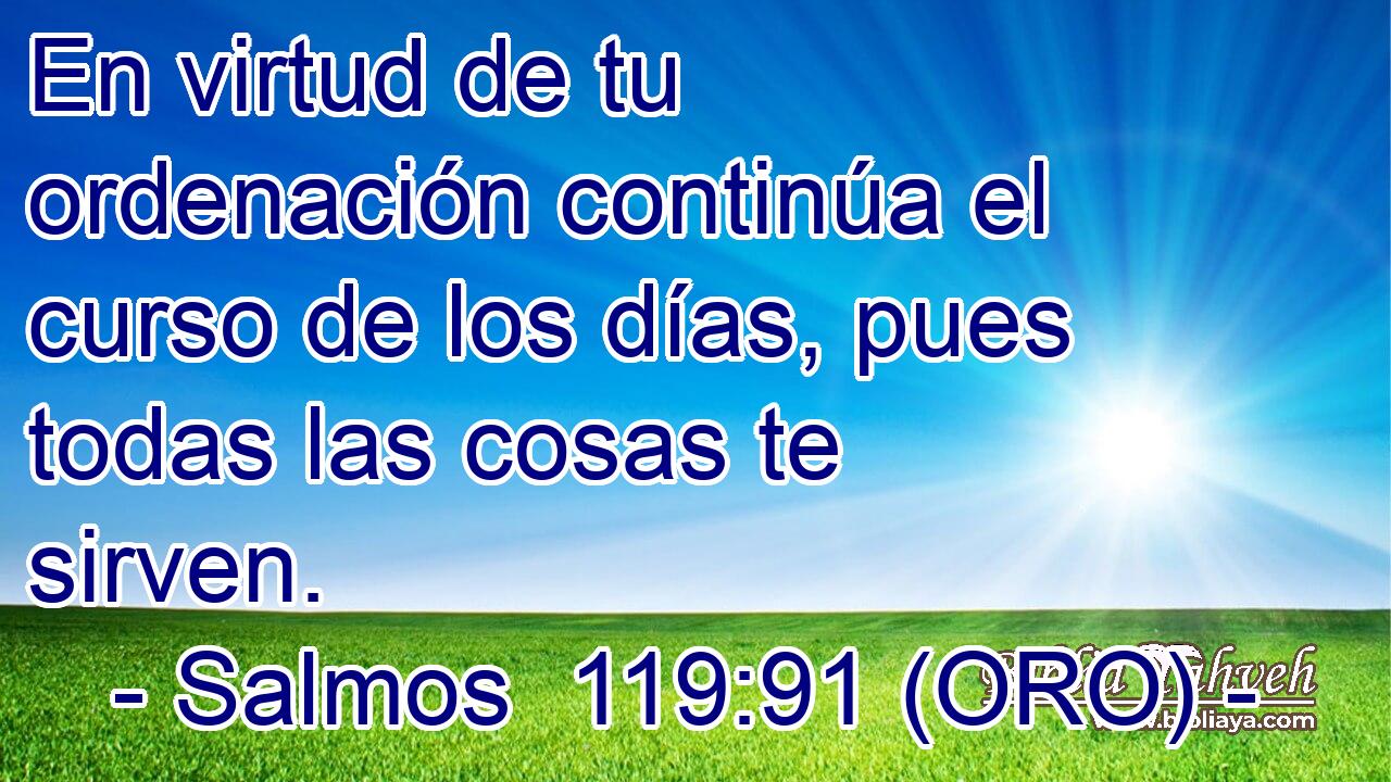  En virtud de tu ordenación continúa el curso de los días, pues todas las cosas te sirven. 