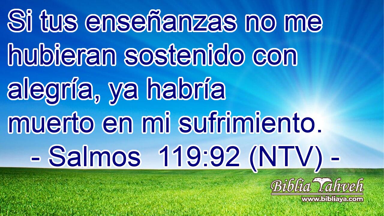 Si tus enseñanzas no me hubieran sostenido con alegría, ya habría muerto en mi sufrimiento.
