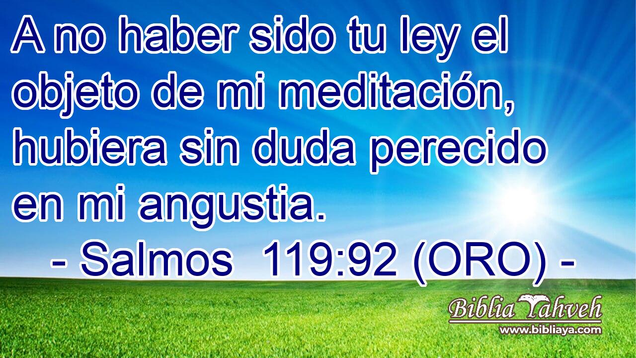  A no haber sido tu ley el objeto de mi meditación, hubiera sin duda perecido en mi angustia. 