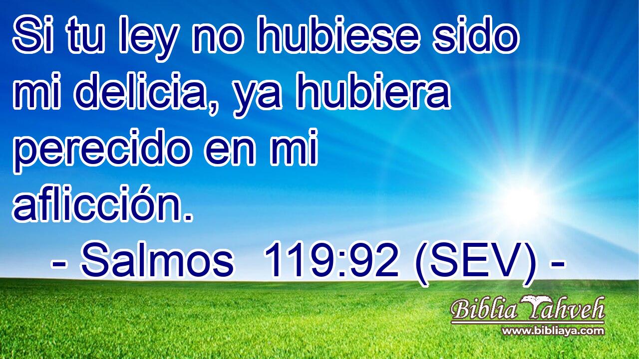 Si tu ley no hubiese sido mi delicia, ya hubiera perecido en mi aflicción.