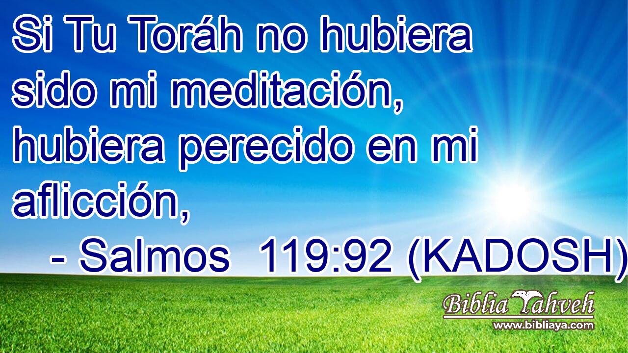  Si Tu Toráh no hubiera sido mi meditación, hubiera perecido en mi aflicción, 