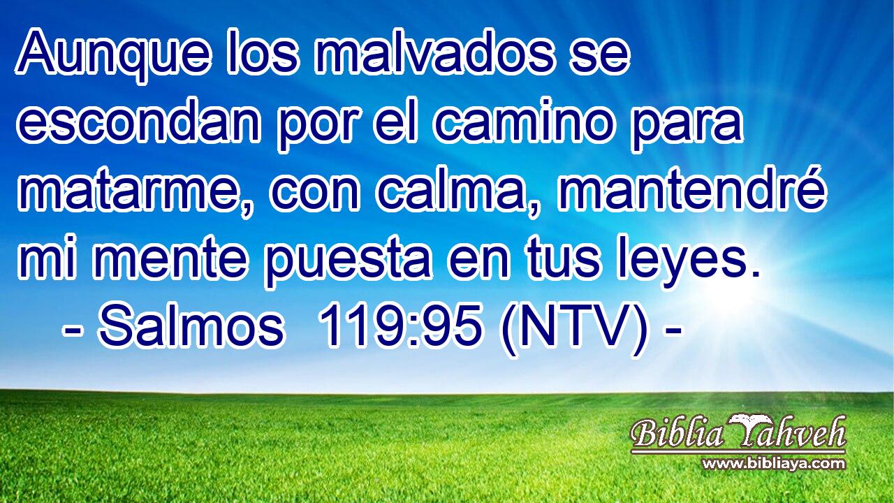 Aunque los malvados se escondan por el camino para matarme, con calma, mantendré mi mente puesta en tus leyes.