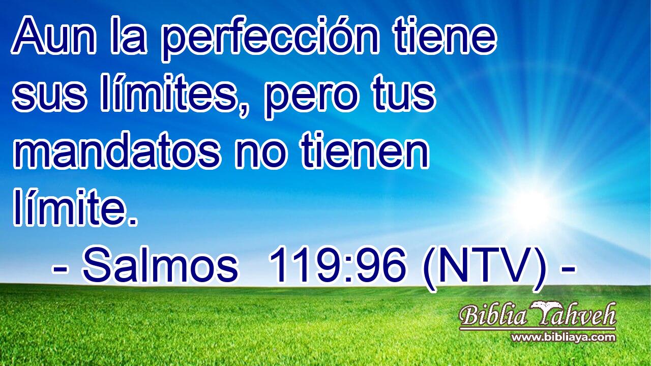 Aun la perfección tiene sus límites, pero tus mandatos no tienen límite.