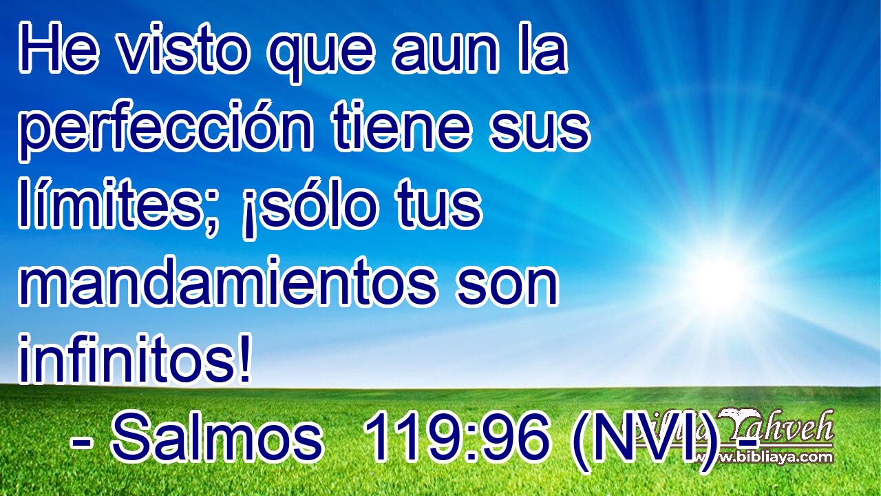  He visto que aun la perfección tiene sus límites; ¡sólo tus mandamientos son infinitos! 
