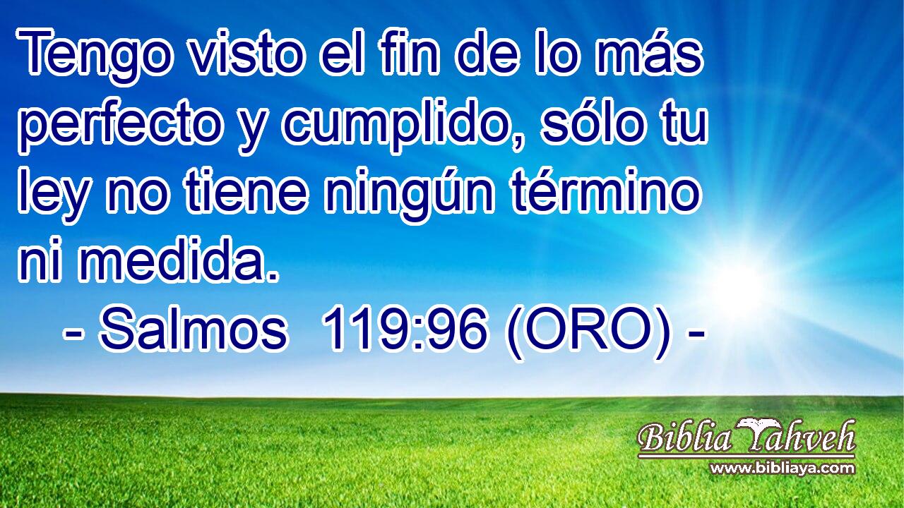  Tengo visto el fin de lo más perfecto y cumplido, sólo tu ley no tiene ningún término ni medida. 