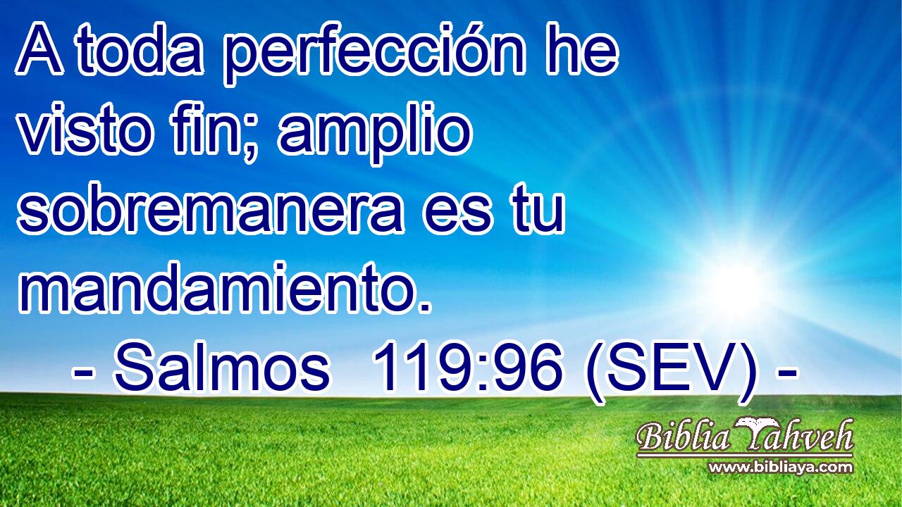 A toda perfección he visto fin; amplio sobremanera es tu mandamiento.