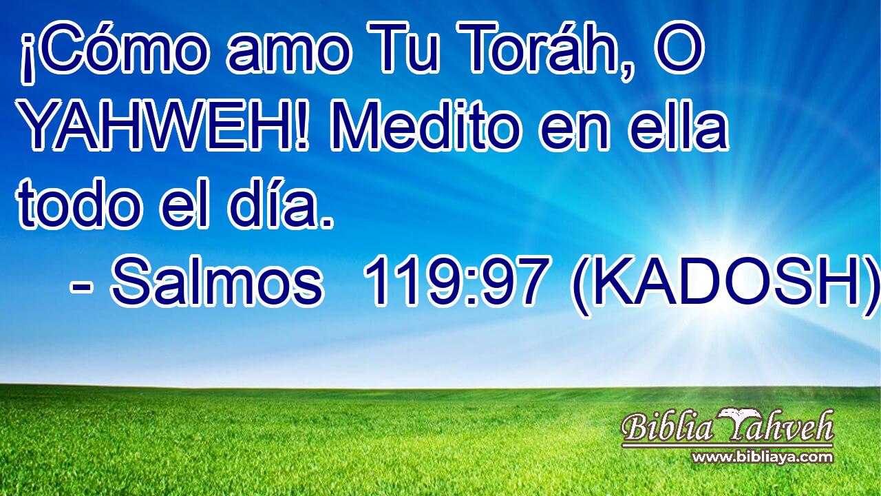  ¡Cómo amo Tu Toráh, O YAHWEH! Medito en ella todo el día. 