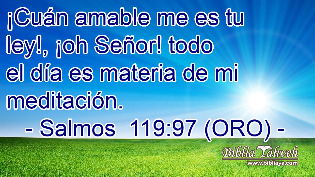  ¡Cuán amable me es tu ley!, ¡oh Señor! todo el día es materia de mi meditación. 