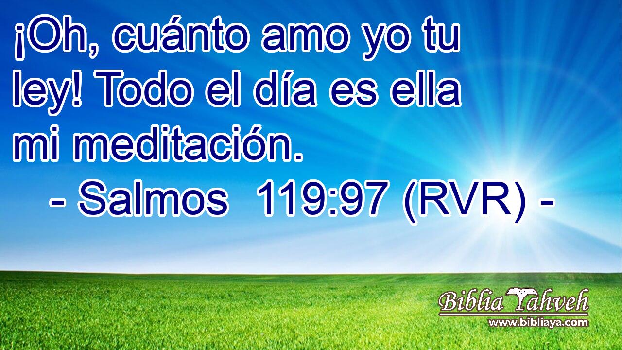 ¡Oh, cuánto amo yo tu ley! Todo el día es ella mi meditación.