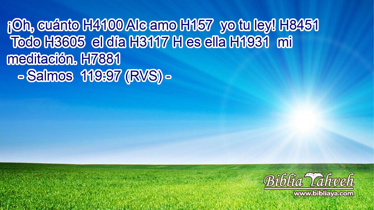 ¡Oh, cuánto H4100 AIc amo H157  yo tu ley! H8451  Todo H3605  el día H3117 H es ella H1931  mi meditación. H7881  