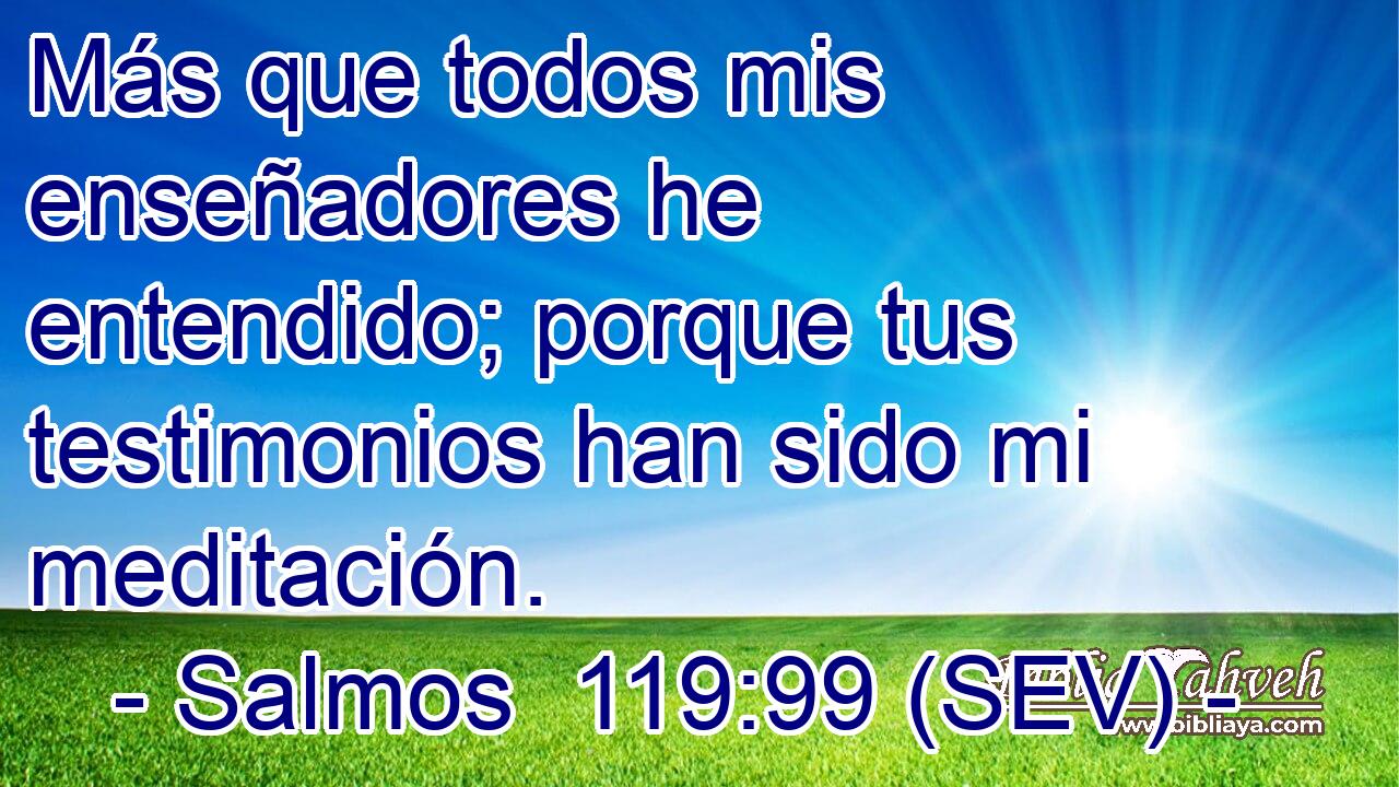 Más que todos mis enseñadores he entendido; porque tus testimonios han sido mi meditación.