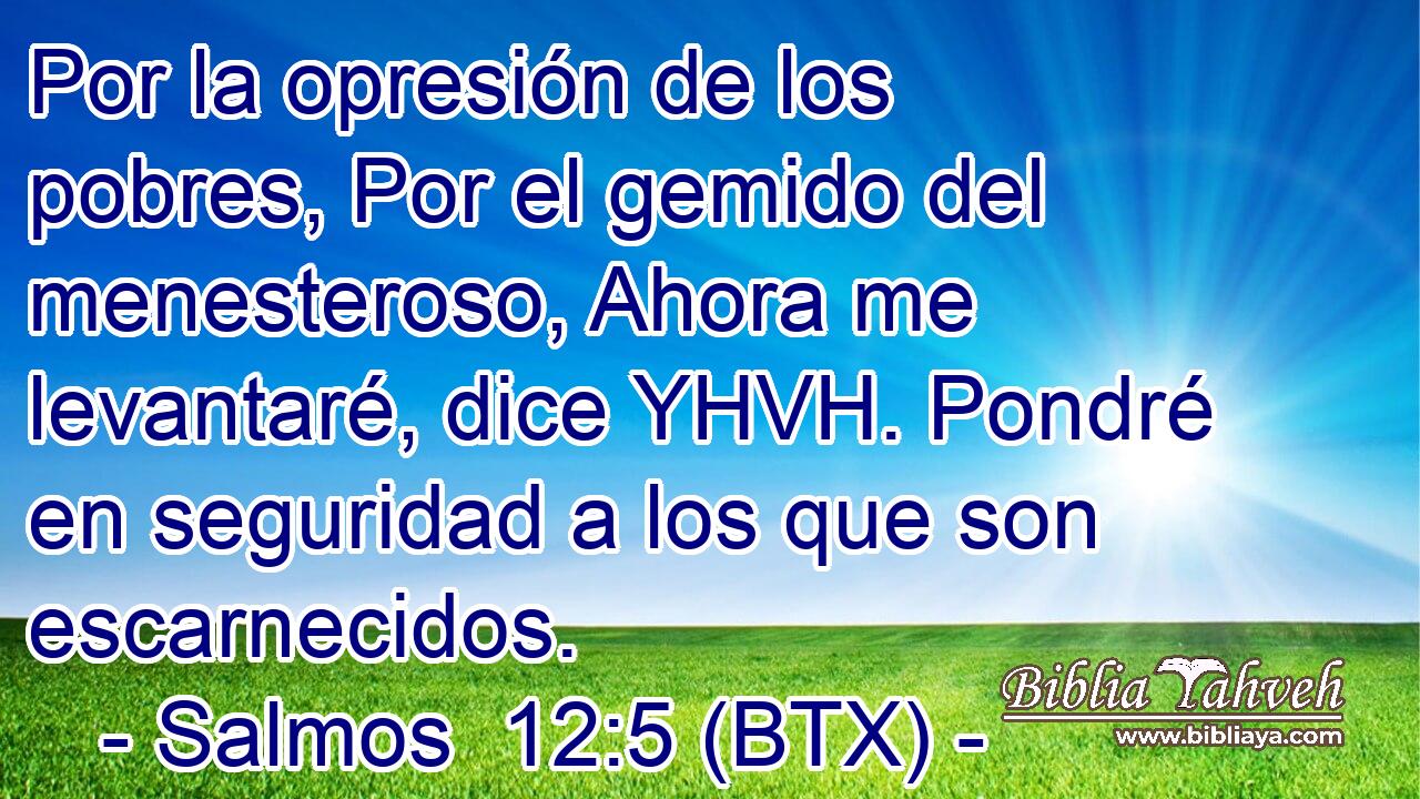 Por la opresión de los pobres, Por el gemido del menesteroso, Ahora me levantaré, dice YHVH. Pondré en seguridad a los que son escarnecidos.
