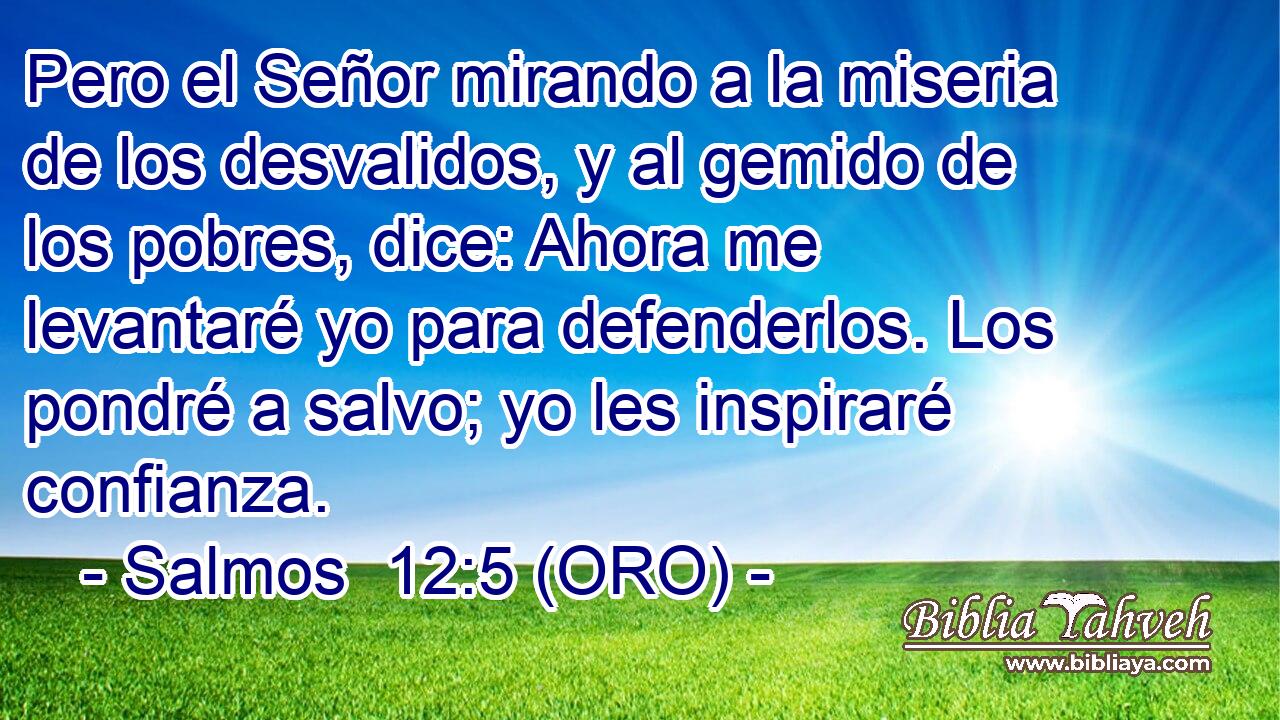 Pero el Señor mirando a la miseria de los desvalidos, y al gemido de los pobres, dice: Ahora me levantaré yo para defenderlos. Los pondré a salvo; yo les inspiraré confianza. 