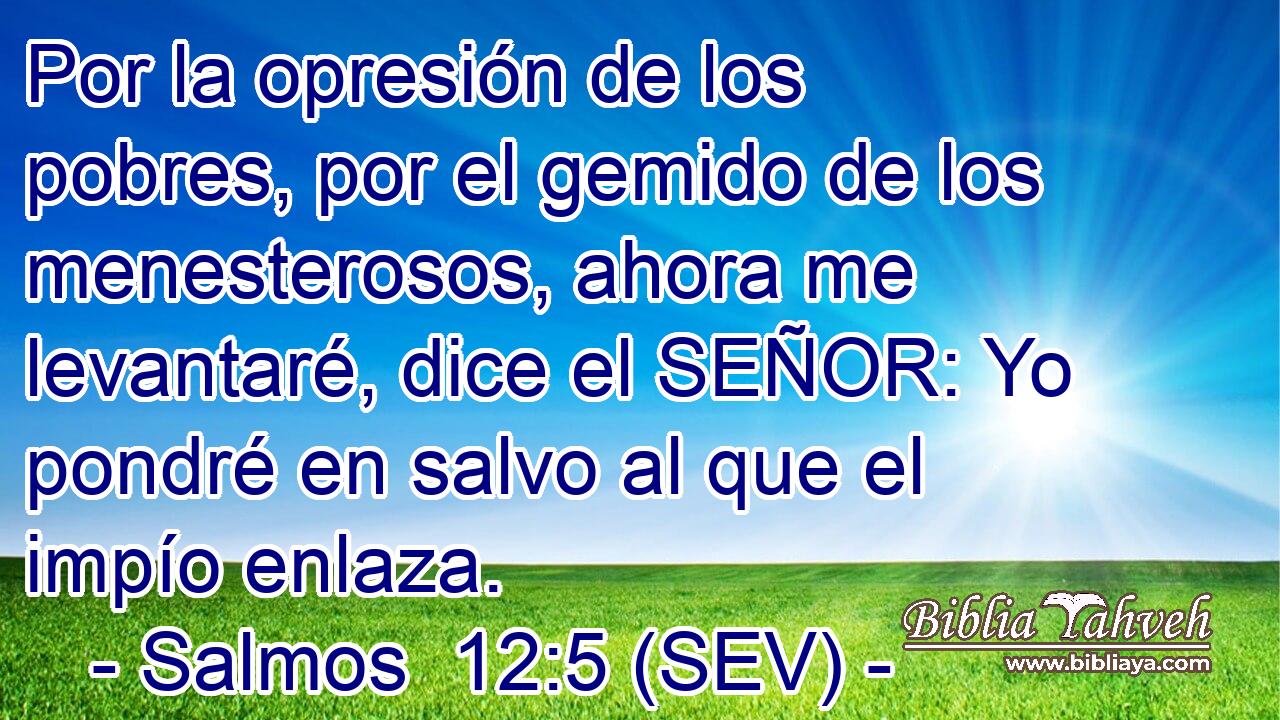 Por la opresión de los pobres, por el gemido de los menesterosos, ahora me levantaré, dice el SEÑOR: Yo pondré en salvo al que el impío enlaza.