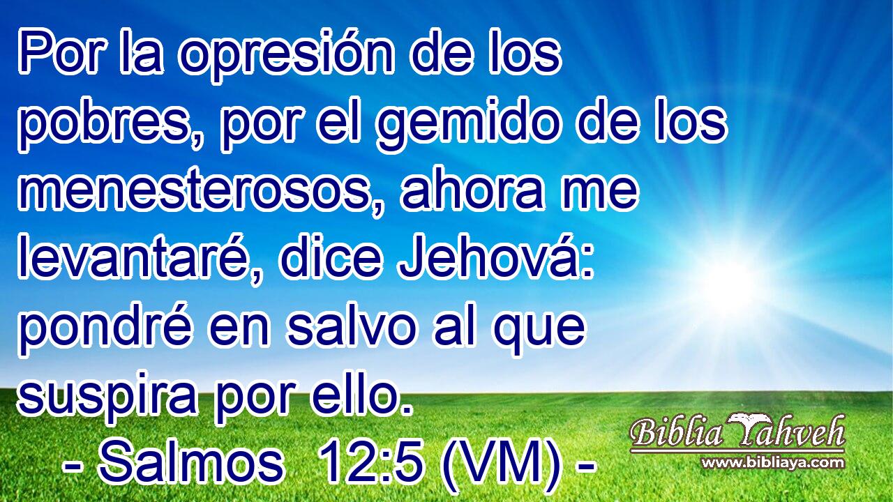  Por la opresión de los pobres, por el gemido de los menesterosos, ahora me levantaré, dice Jehová: pondré en salvo al que suspira por ello. 