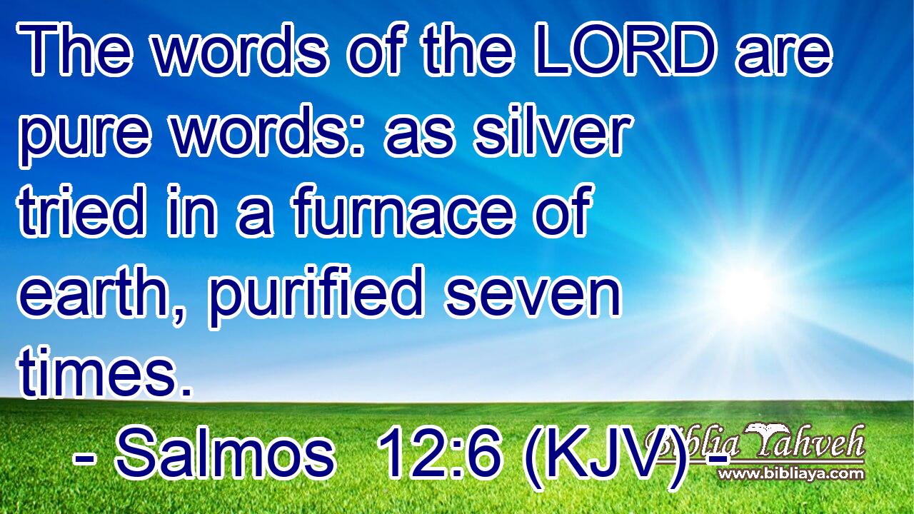 The words of the LORD are pure words: as silver tried in a furnace of earth, purified seven times.