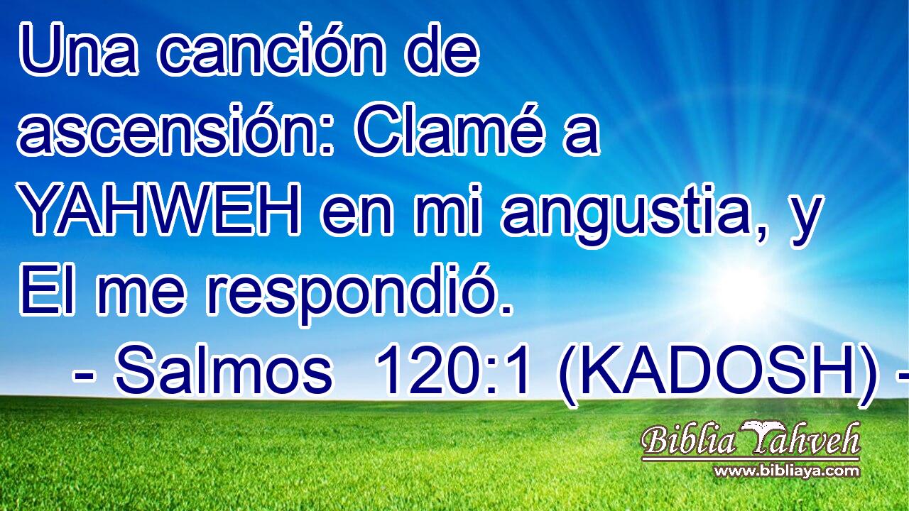  Una canción de ascensión: Clamé a YAHWEH en mi angustia, y El me respondió. 