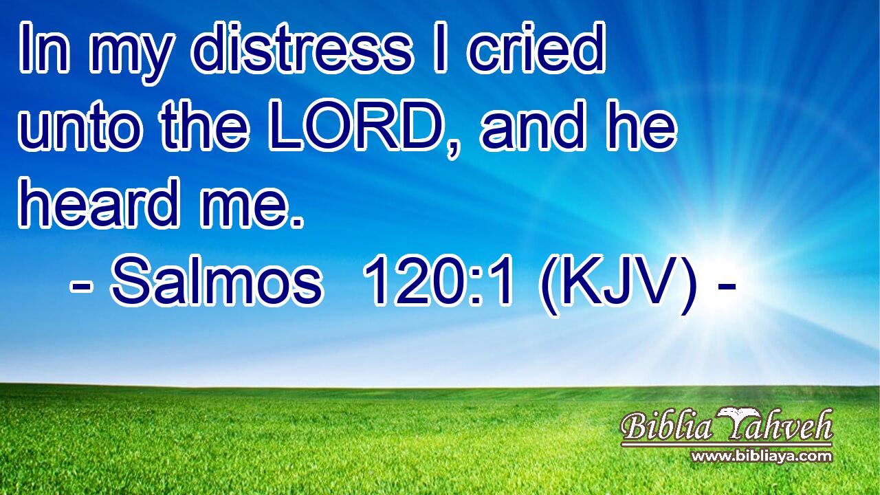 In my distress I cried unto the LORD, and he heard me.