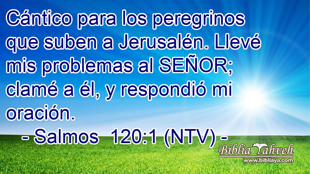 Cántico para los peregrinos que suben a Jerusalén. Llevé mis problemas al SEÑOR; clamé a él, y respondió mi oración.