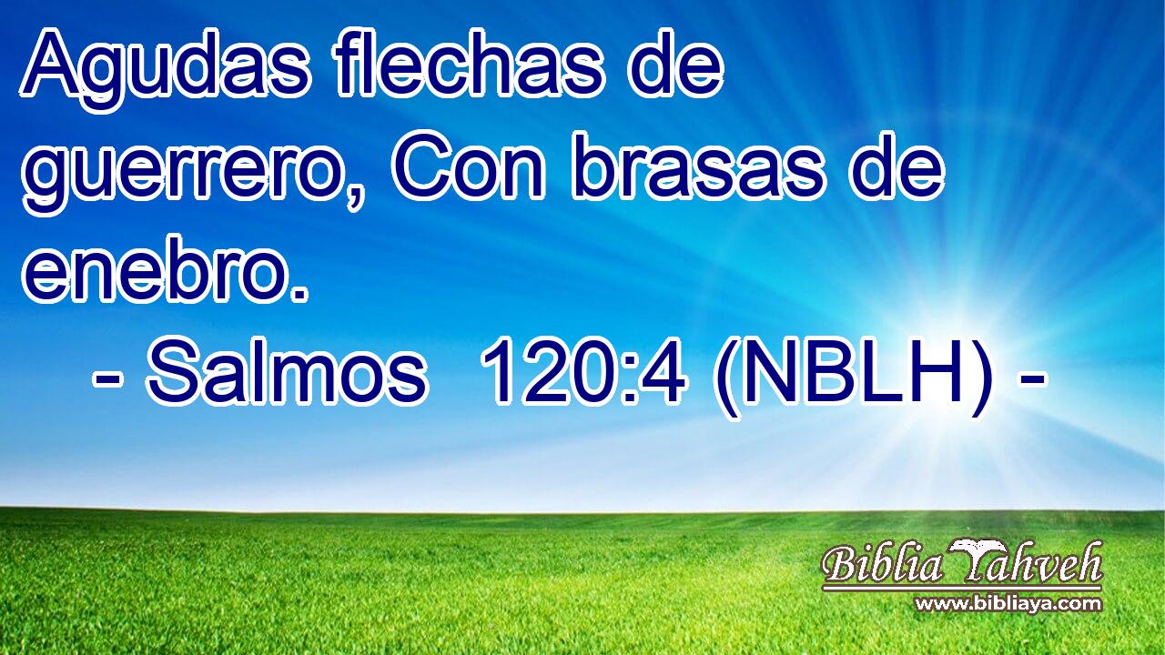  Agudas flechas de guerrero, Con brasas de enebro. 