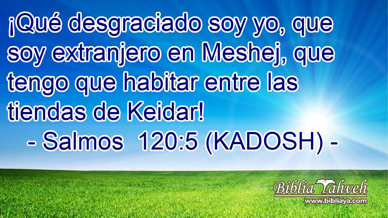  ¡Qué desgraciado soy yo, que soy extranjero en Meshej, que tengo que habitar entre las tiendas de Keidar! 