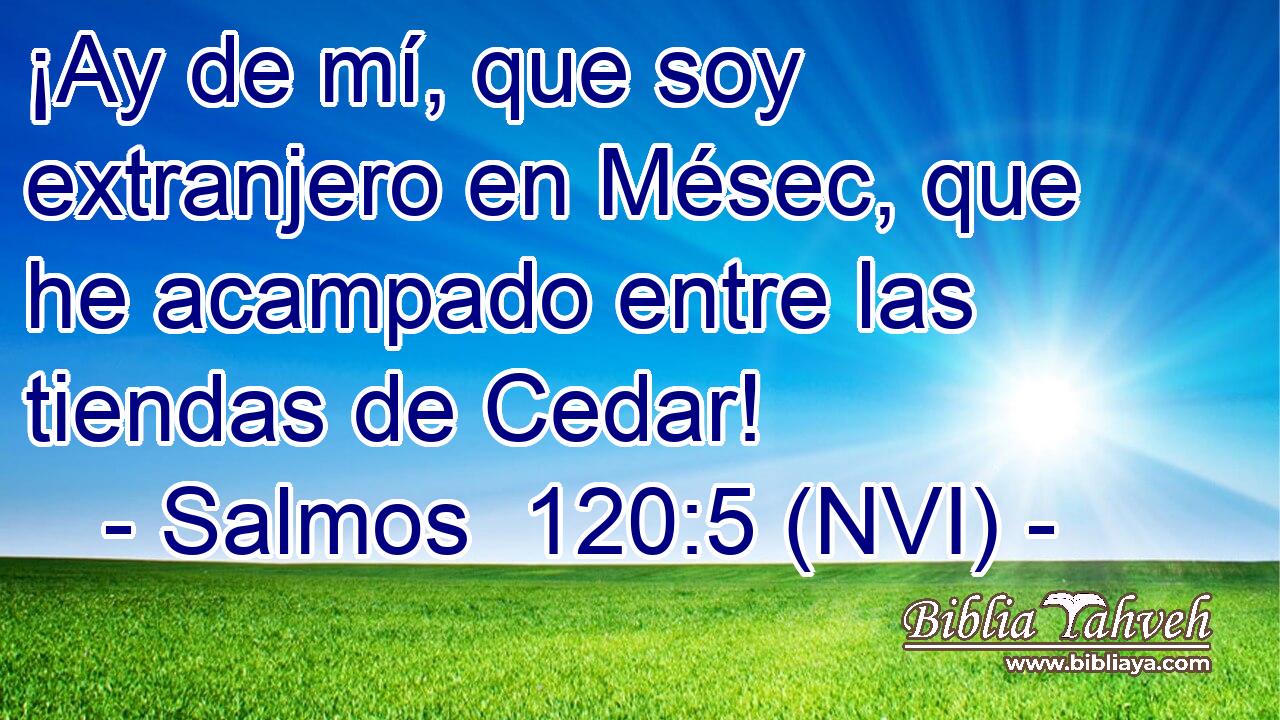  ¡Ay de mí, que soy extranjero en Mésec, que he acampado entre las tiendas de Cedar! 