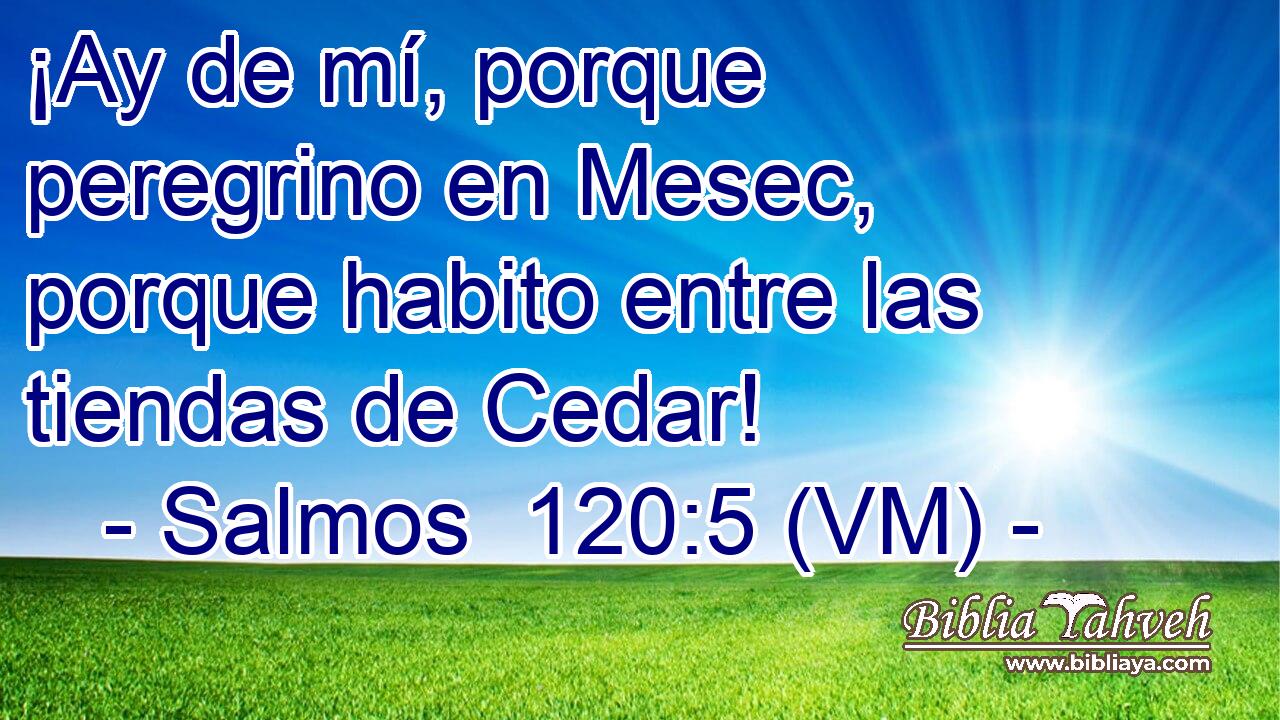  ¡Ay de mí, porque peregrino en Mesec, porque habito entre las tiendas de Cedar! 