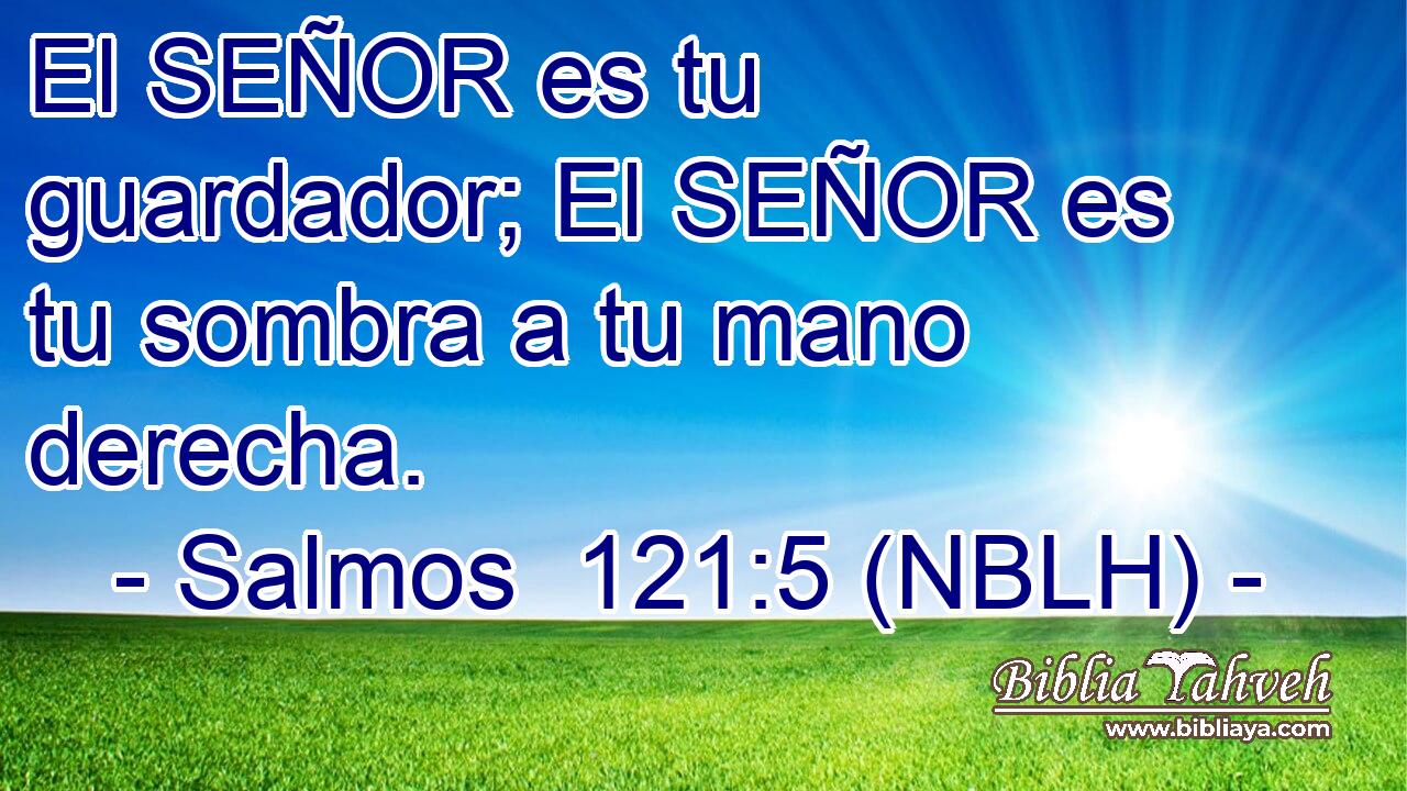  El SEÑOR es tu guardador; El SEÑOR es tu sombra a tu mano derecha. 