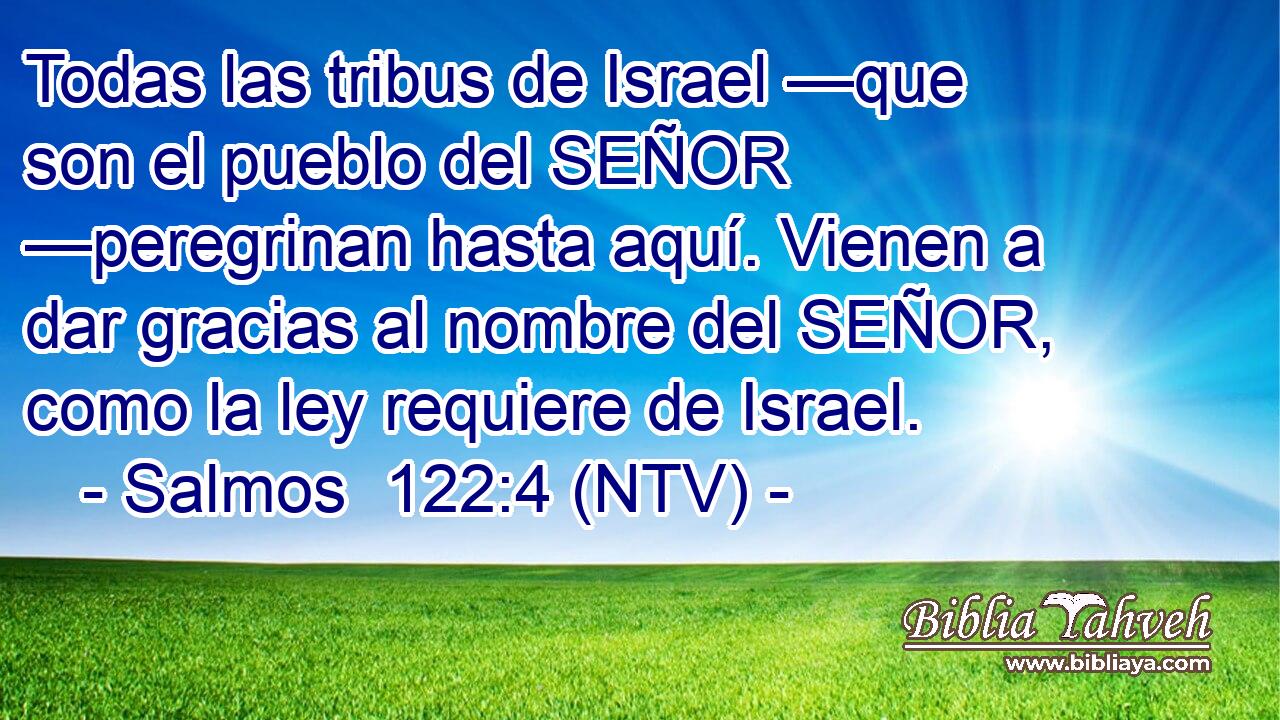 Todas las tribus de Israel —que son el pueblo del SEÑOR —peregrinan hasta aquí. Vienen a dar gracias al nombre del SEÑOR, como la ley requiere de Israel.