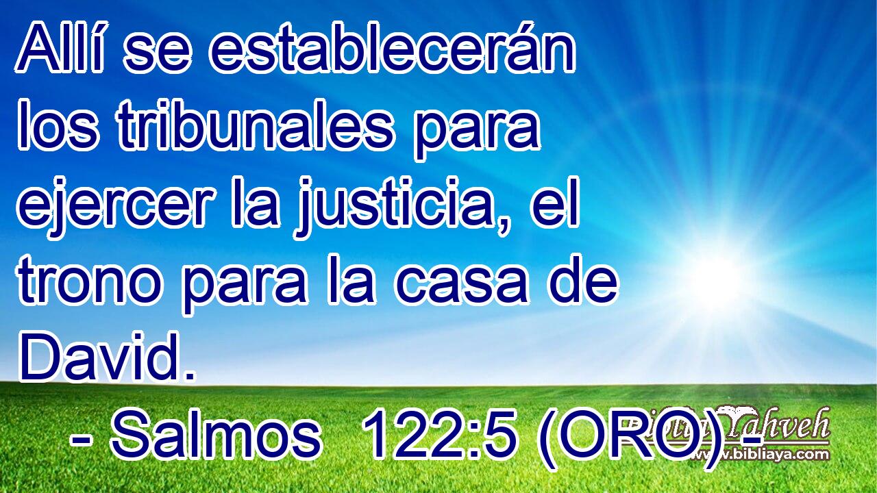  Allí se establecerán los tribunales para ejercer la justicia, el trono para la casa de David. 