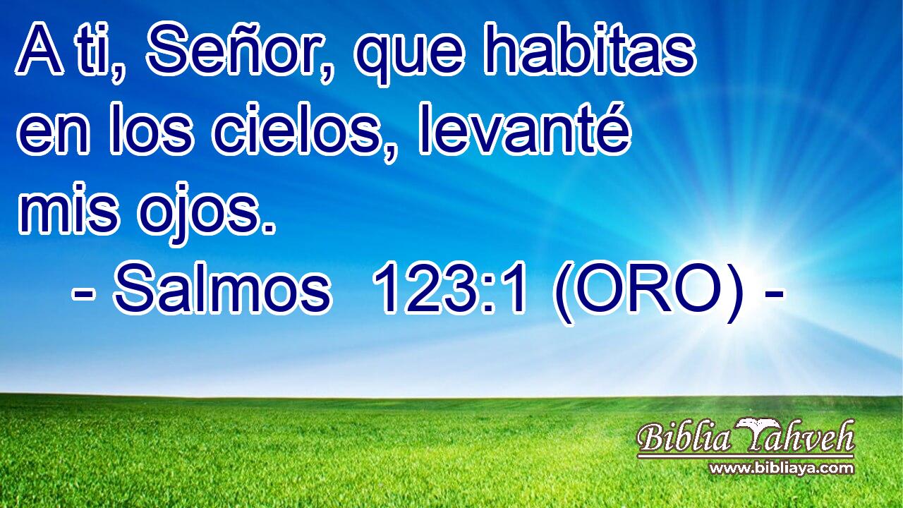  A ti, Señor, que habitas en los cielos, levanté mis ojos. 