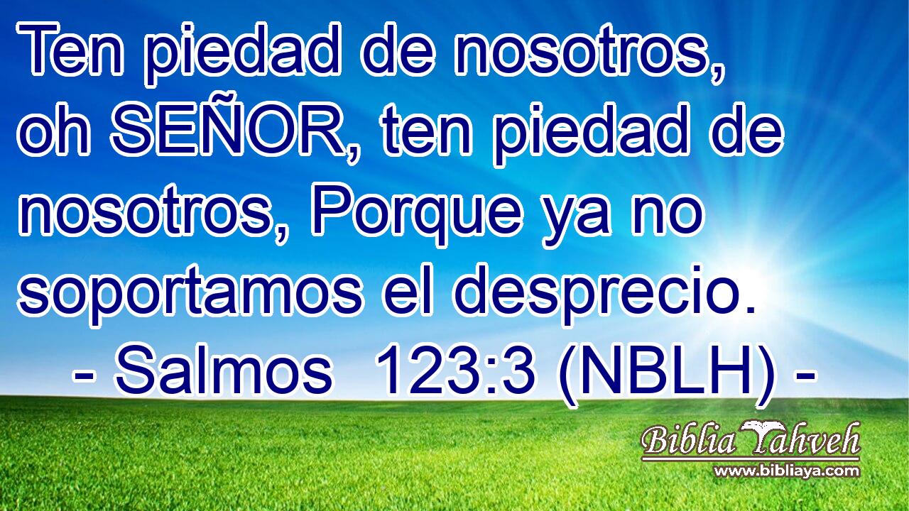  Ten piedad de nosotros, oh SEÑOR, ten piedad de nosotros, Porque ya no soportamos el desprecio. 