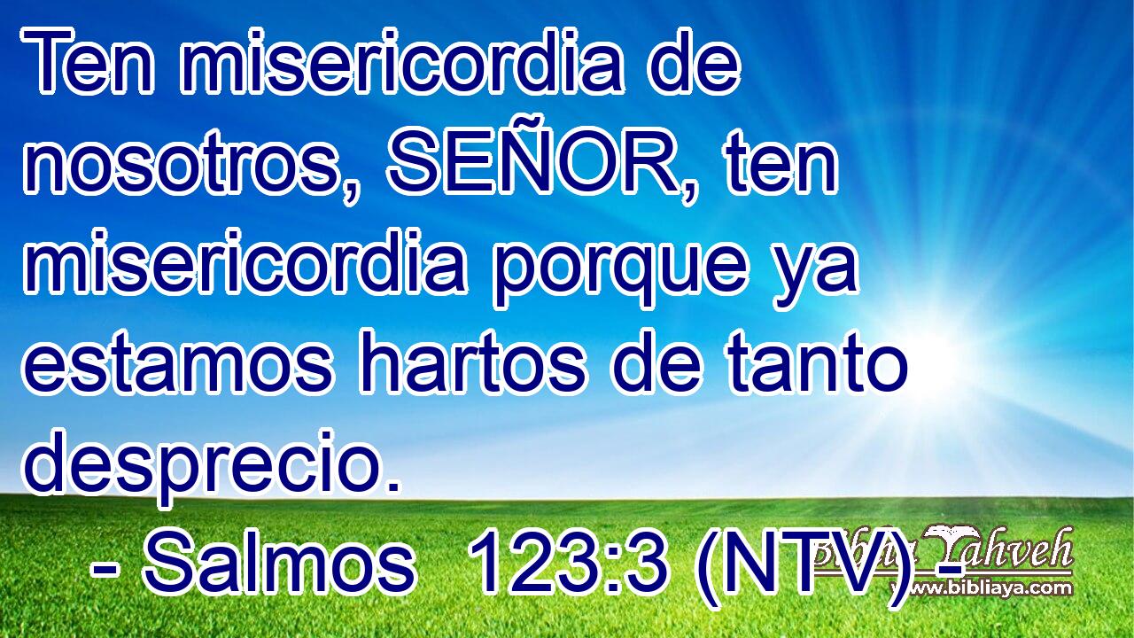 Ten misericordia de nosotros, SEÑOR, ten misericordia porque ya estamos hartos de tanto desprecio.