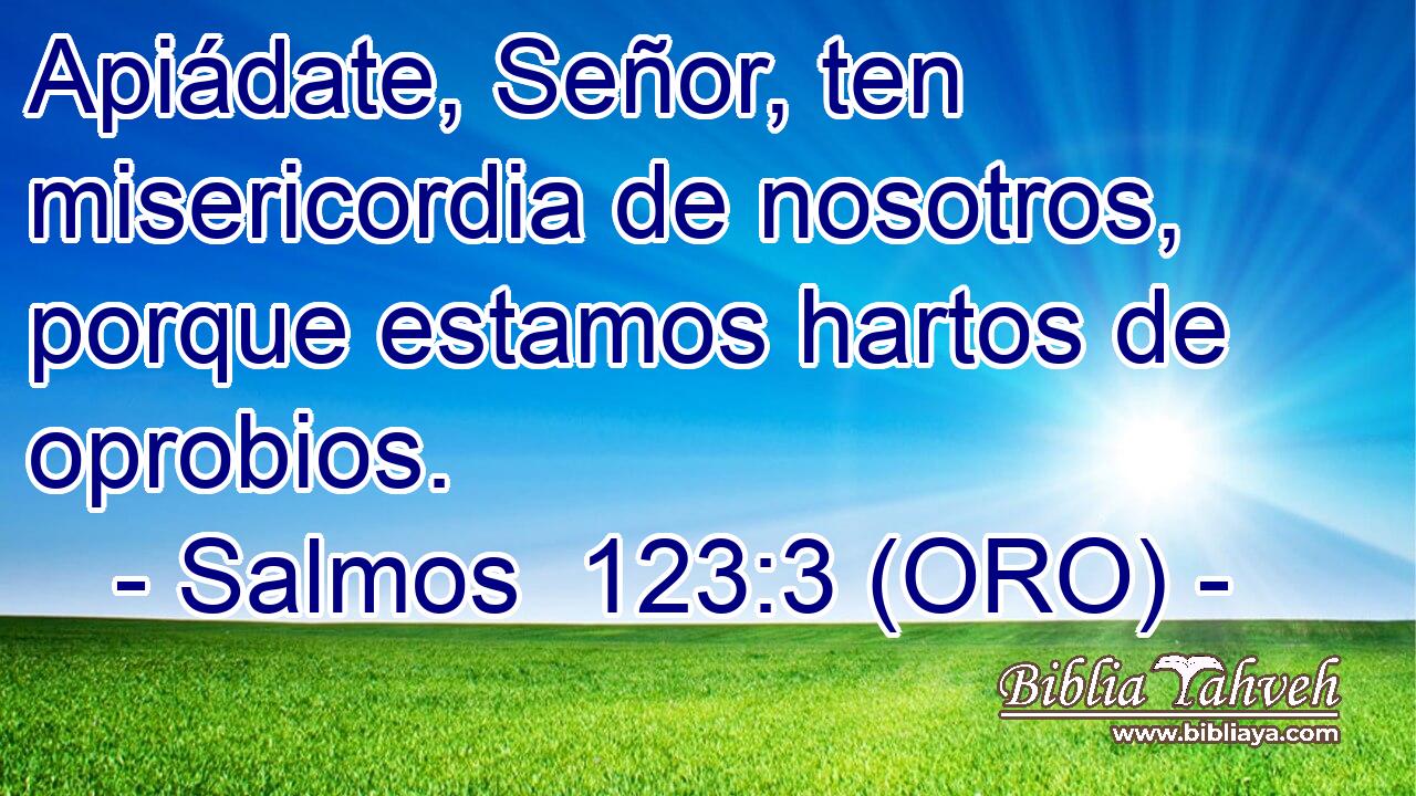  Apiádate, Señor, ten misericordia de nosotros, porque estamos hartos de oprobios. 