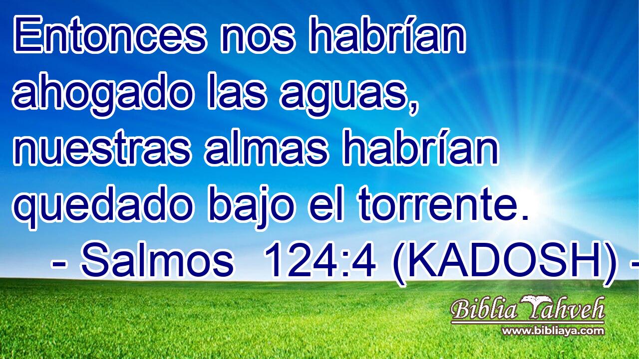  Entonces nos habrían ahogado las aguas, nuestras almas habrían quedado bajo el torrente. 