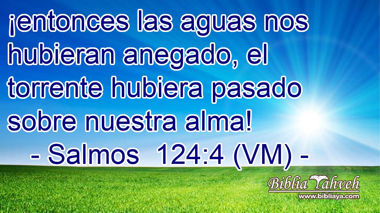  ¡entonces las aguas nos hubieran anegado, el torrente hubiera pasado sobre nuestra alma! 