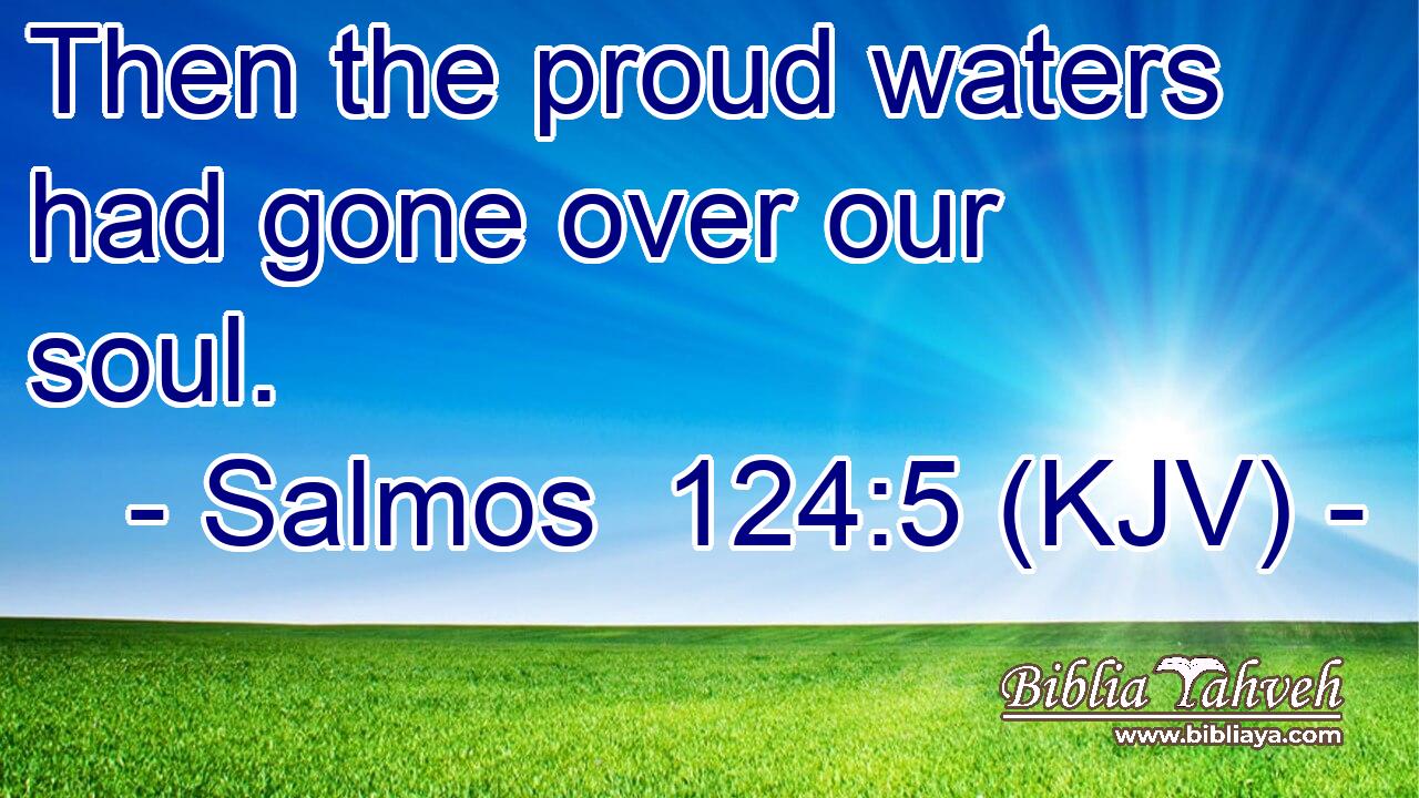Then the proud waters had gone over our soul.