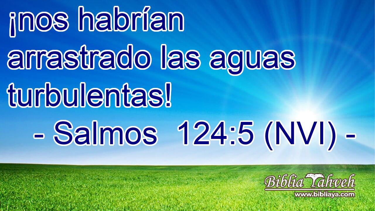  ¡nos habrían arrastrado las aguas turbulentas! 