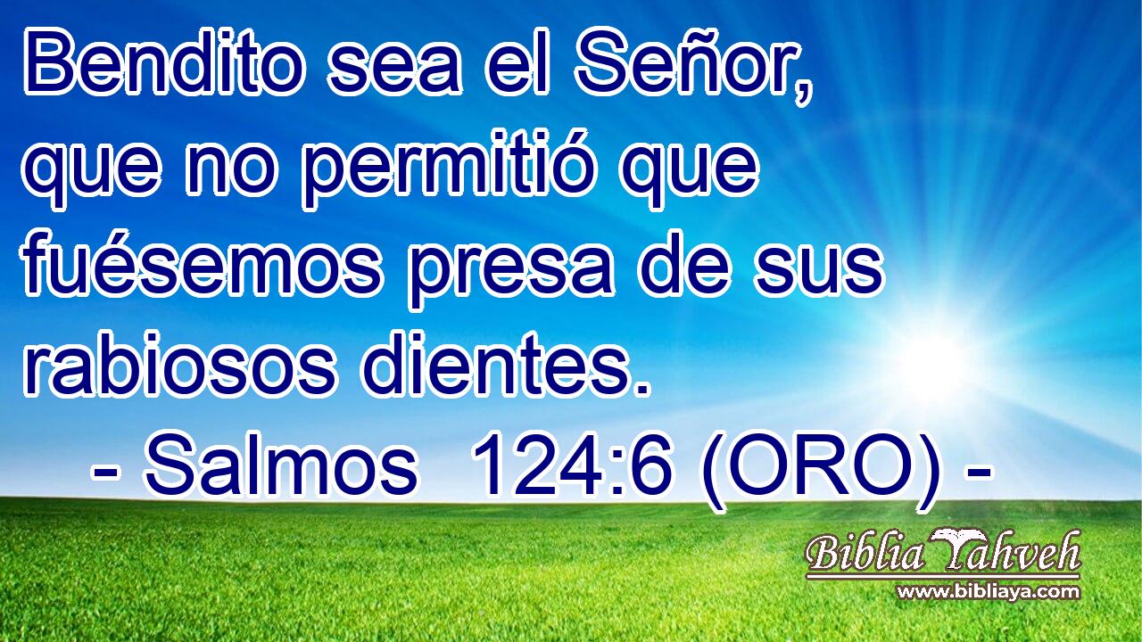  Bendito sea el Señor, que no permitió que fuésemos presa de sus rabiosos dientes. 