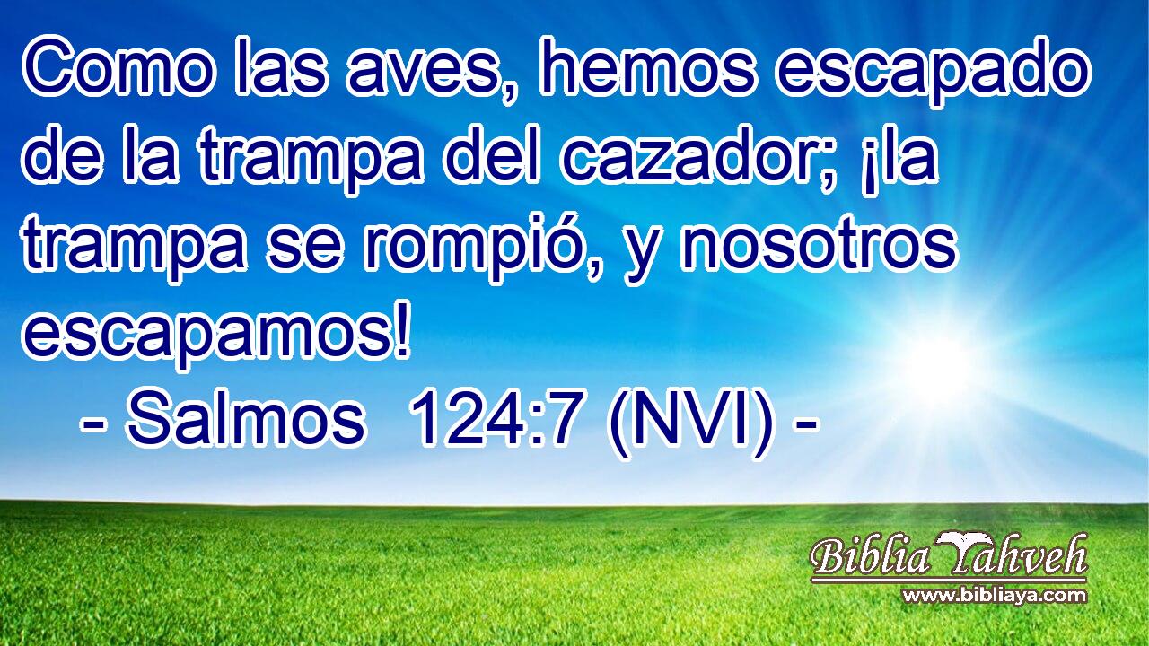  Como las aves, hemos escapado de la trampa del cazador; ¡la trampa se rompió, y nosotros escapamos! 