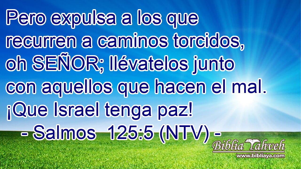 Pero expulsa a los que recurren a caminos torcidos, oh SEÑOR; llévatelos junto con aquellos que hacen el mal. ¡Que Israel tenga paz!
