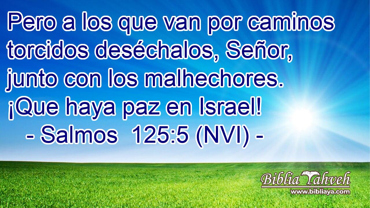  Pero a los que van por caminos torcidos deséchalos, Señor, junto con los malhechores. ¡Que haya paz en Israel! 