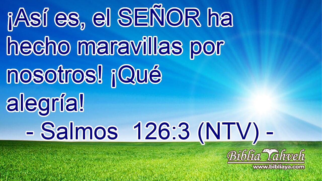 ¡Así es, el SEÑOR ha hecho maravillas por nosotros! ¡Qué alegría!